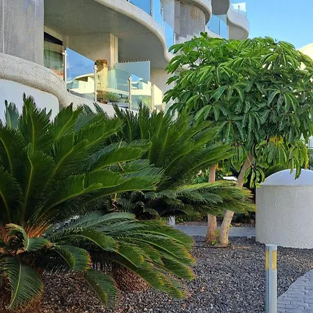 Casa Olaskri Palm-mar