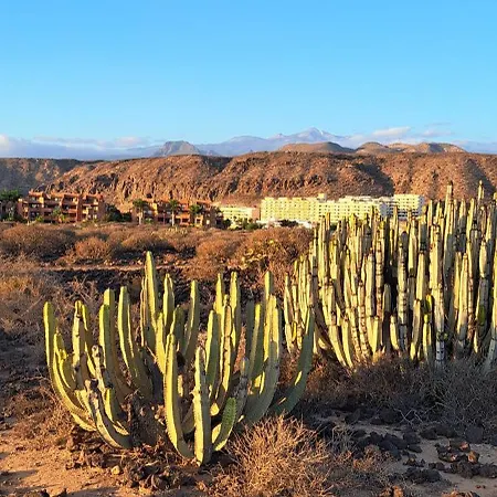 Casa Olaskri * Palm-mar