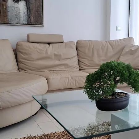 Apartament Casa Olaskri