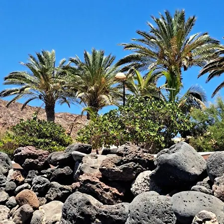 Apartamento Casa Olaskri Palm-mar