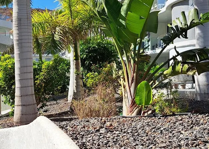 Casa Olaskri Palm-mar